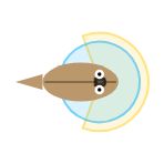 Far Vision Angle: Wide field of view