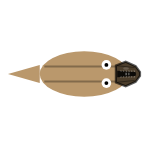 Mouth Width: Large