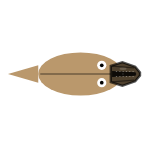 Tooth Sharpness: Mid